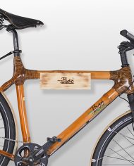frontal_mit_fahrrad